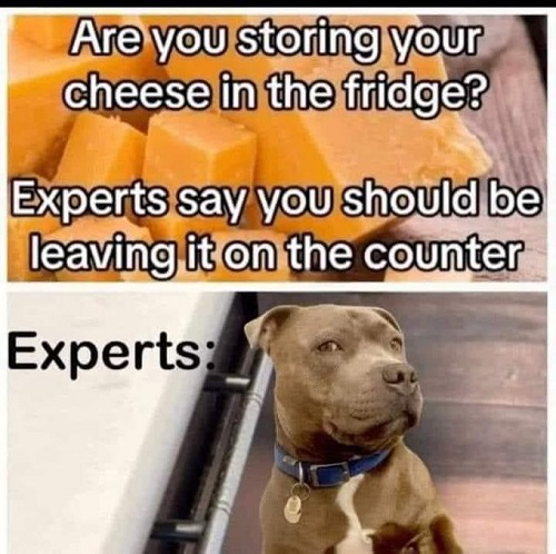 dog%20leave%20cheese.jpg